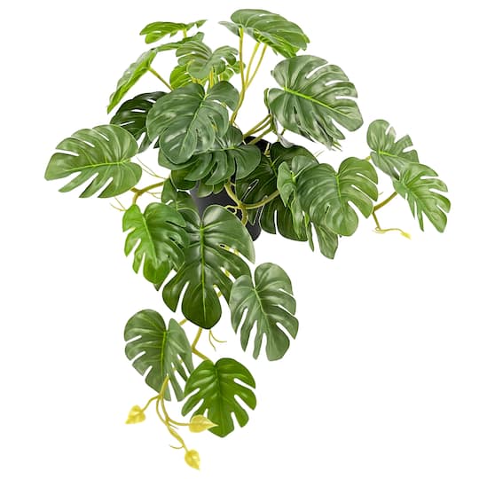 16" Premade Potted Monstera Plant by Ashland®